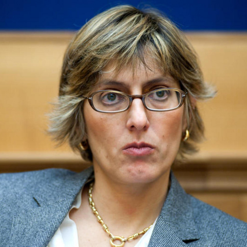 Giulia Bongiorno, Pubblica Amministrazione