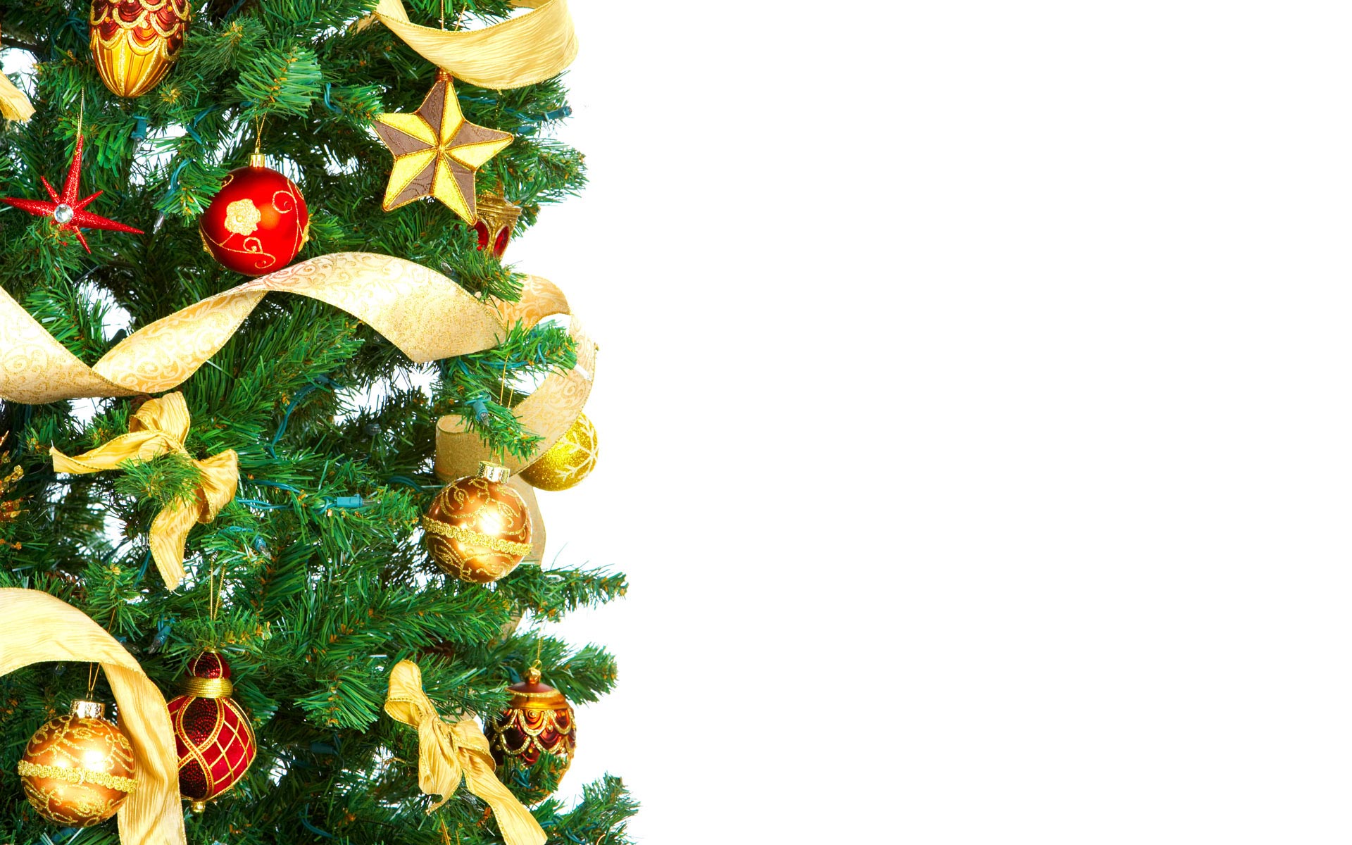 Regali Di Natale A Km 0.Alberi A Km 0 E Luci A Led Quando Il Natale Strizza L Occhio All Ambiente Giornale Di Sicilia