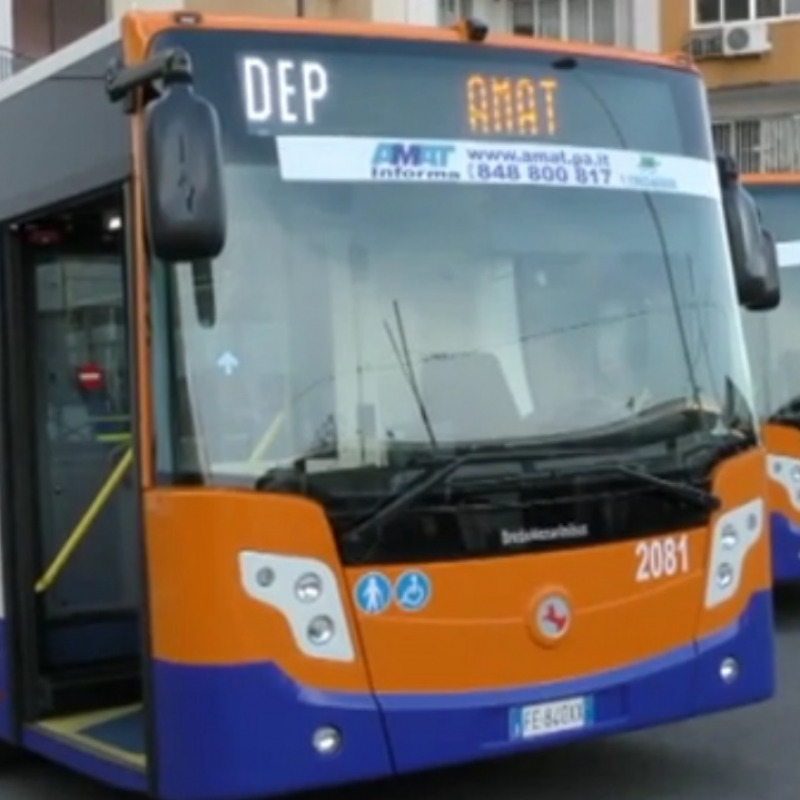 Autobus Amat Palermo