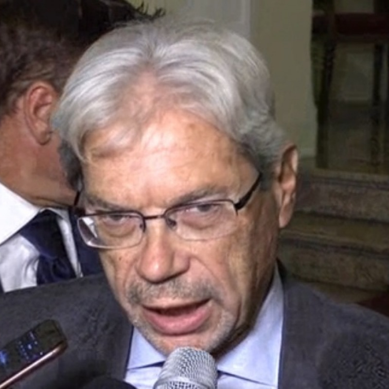 Ministro De Vincenti