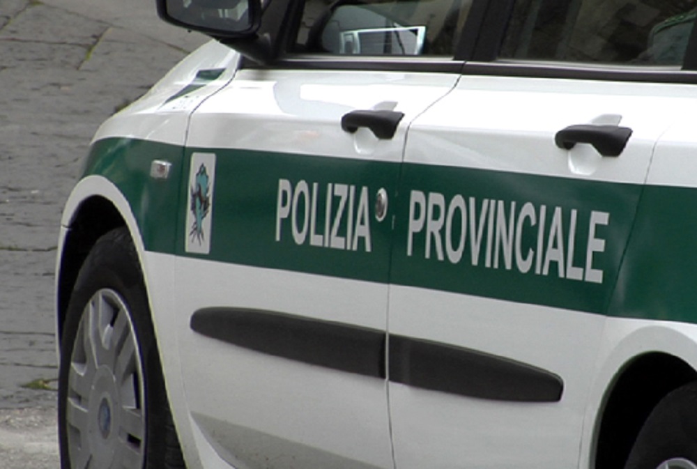 La Polizia Provinciale contro i cartelloni abusivi, multe per 170mila euro