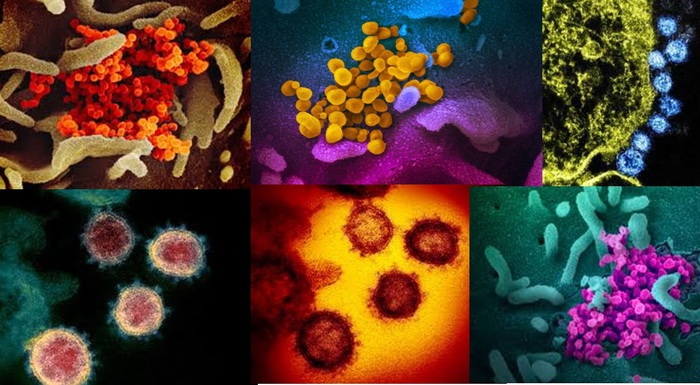 Coronavirus, circa 4 mila varianti nel mondo: lo sostiene il sottosegretario della Gran Bretagna - Giornale di Sicilia