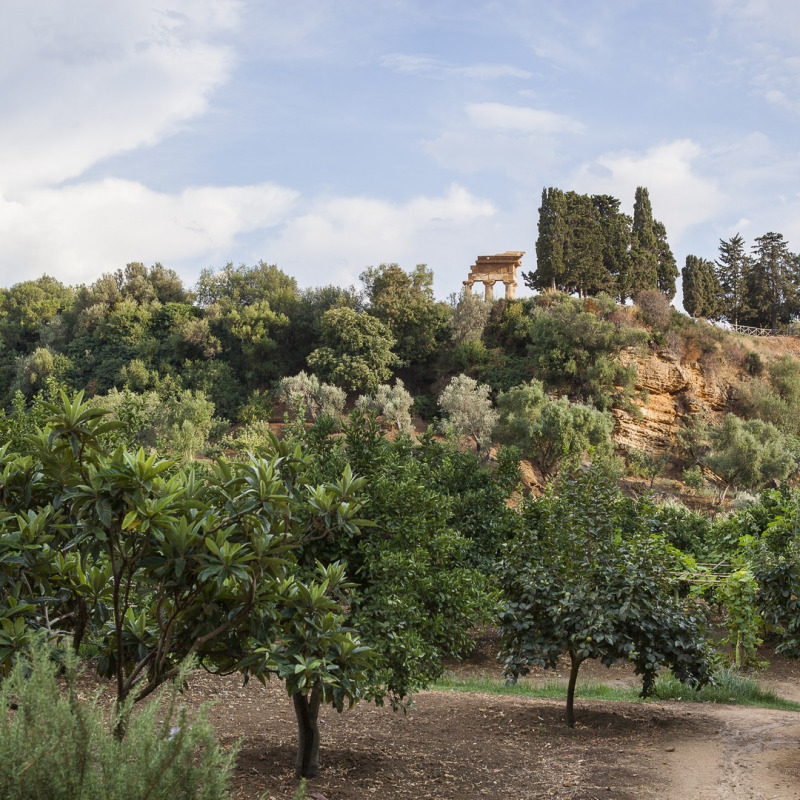 I giardini della Kolymbetra - Valle dei Templi (AG) - Proprietà FAI - 20.08.2013