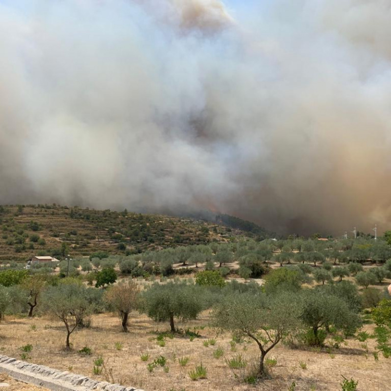 Ettari di macchia mediterranea in fiamme