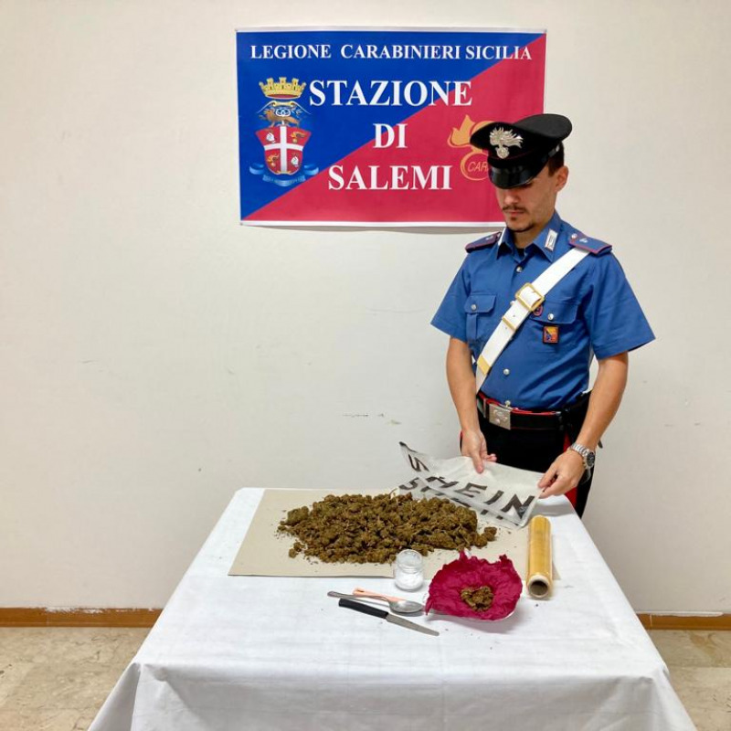 La marijuana sequestrata dai carabinieri