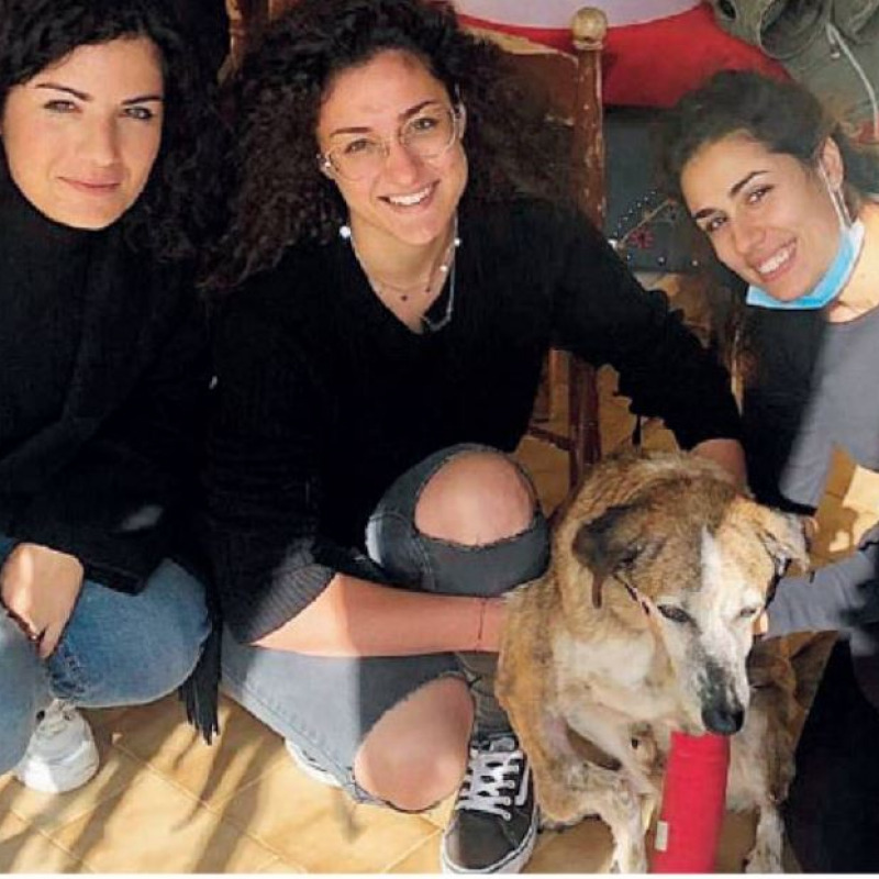 Maria Elena Armato, Marika Scimè e Francesca Irene Gatto con Tigro