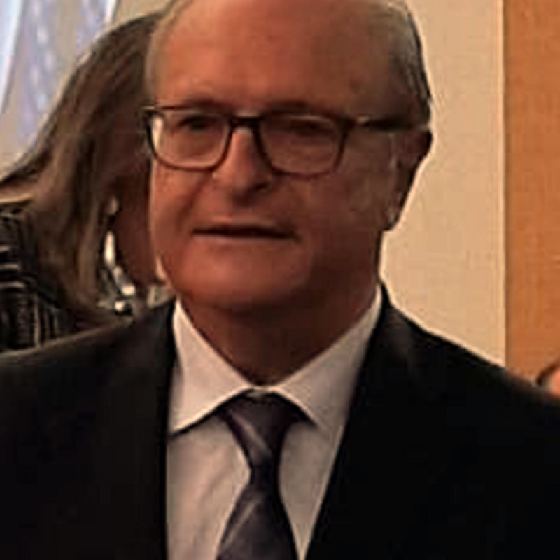 Il professore Pietro Carmina