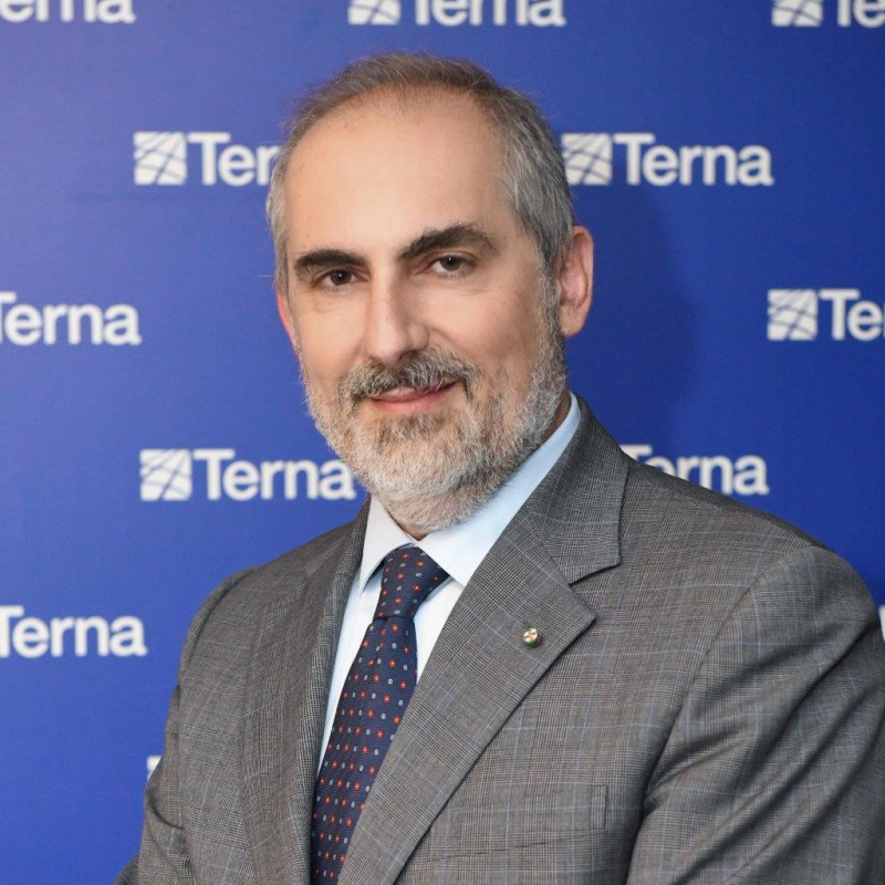 Stefano Donnarumma, amministratore delegato del Gruppo Terna
