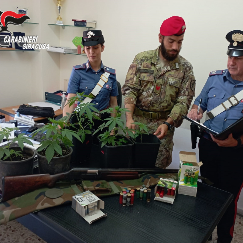 I carabinieri con le piante sequestrate