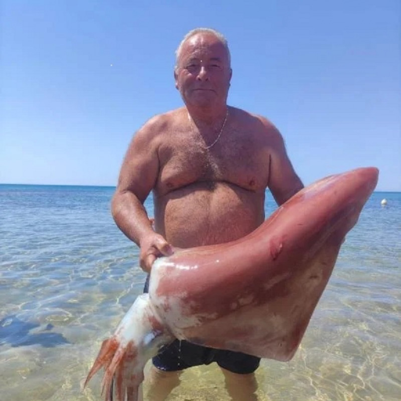Giacinto Angileri mostra il calamaro gigante