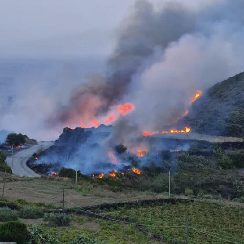 Un incendio è divampato a Pantelleria nelle contrade Favarotta, Khamma e Perimetrale. Le fiamme stanno divorando ettari di vegetazione e mettendo in pericolo diverse abitazioni che sono state evacuate, 17 agosto 2022