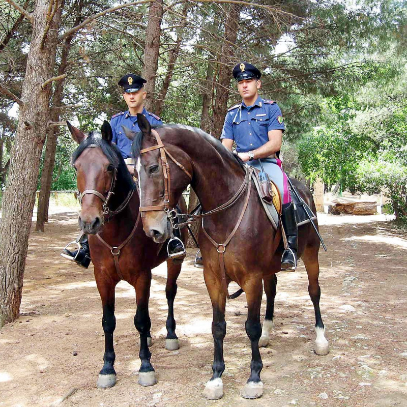Polizia a cavallo alla Favorita