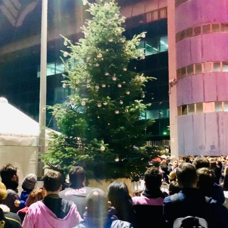 L'albero di Natale allestito allo stadio Renzo Barbera di Palermo