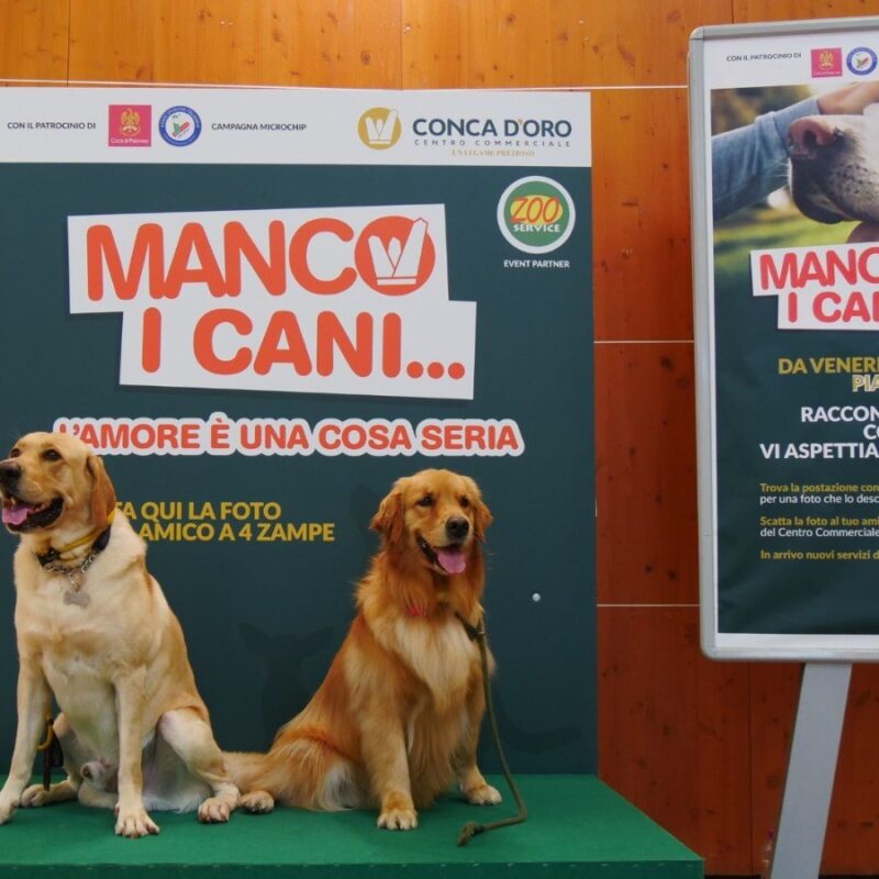 Manco i cani, l'iniziativa in corso al Conca d'Oro