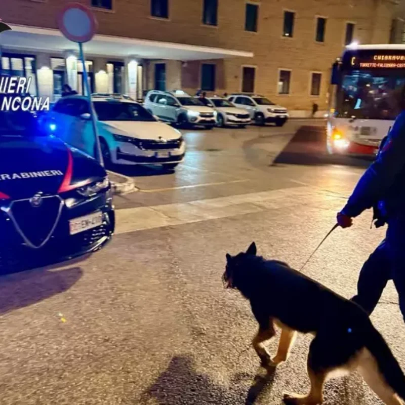 carabinieri ancona