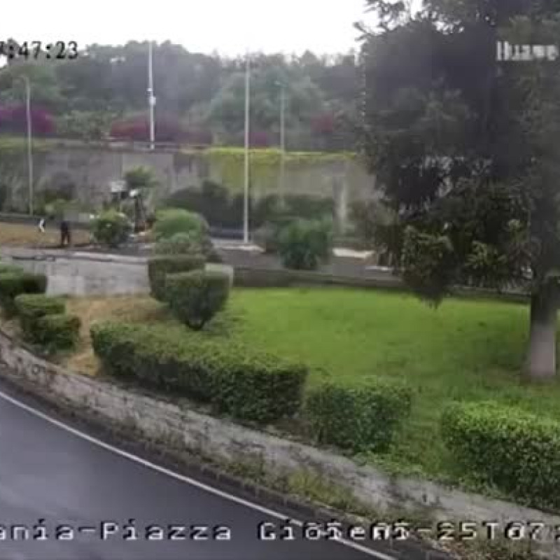 Catania, un cavallo resta gravemente ferito in una corsa clandestina: scatta una denuncia