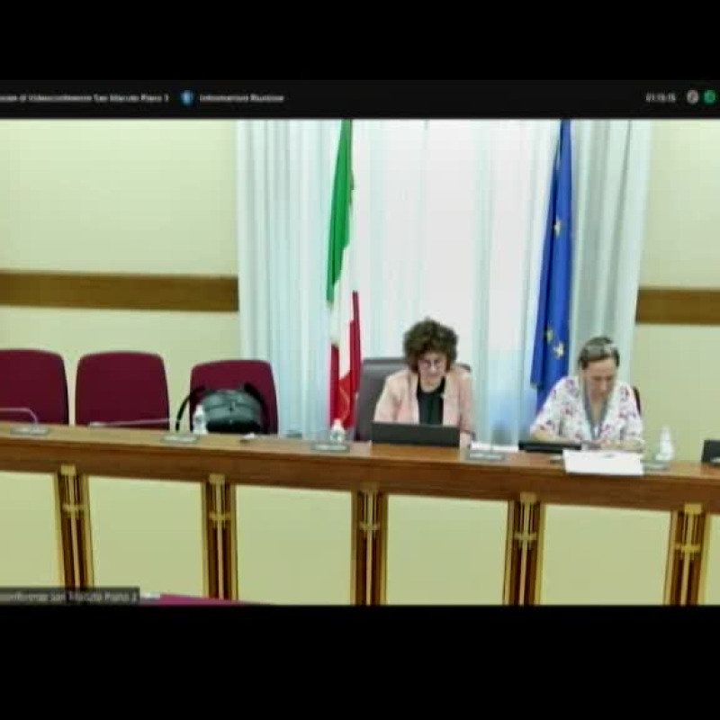 L'audizione, in videoconferenza, del Capo del Dipartimento della Protezione Civile della Presidenza del Consiglio dei Ministri, Fabio Ciciliano.