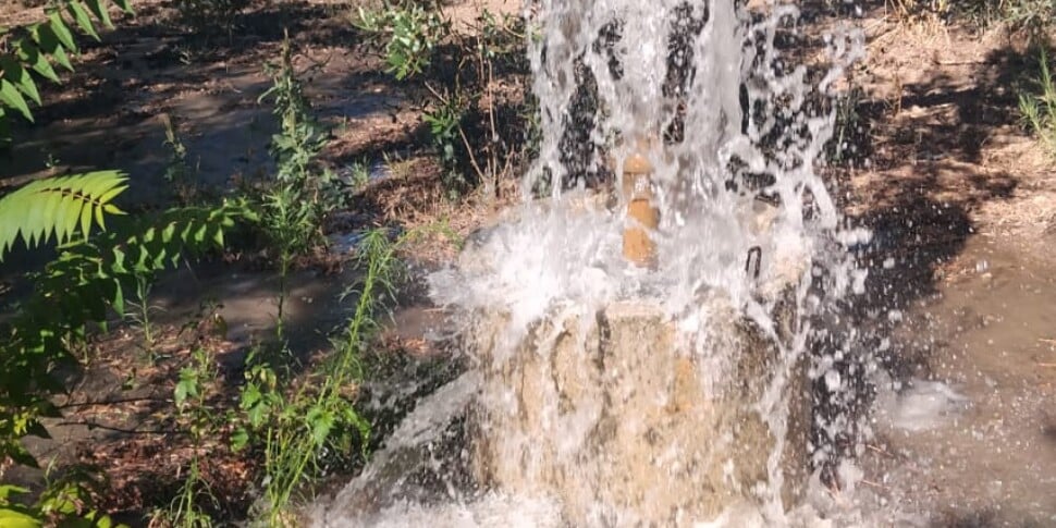 Siccità nel Trapanese, Coldiretti: «Agricoltori senz’acqua, subito indennizzi»